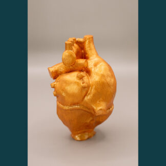 Coeur anatomique doré