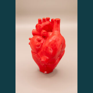 Coeur anatomique rouge